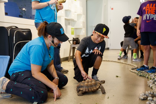 NHMLAC employee with turtle